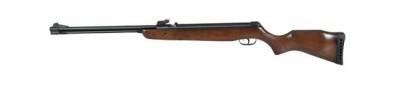 Gamo Bigcat Havalı Tüfek